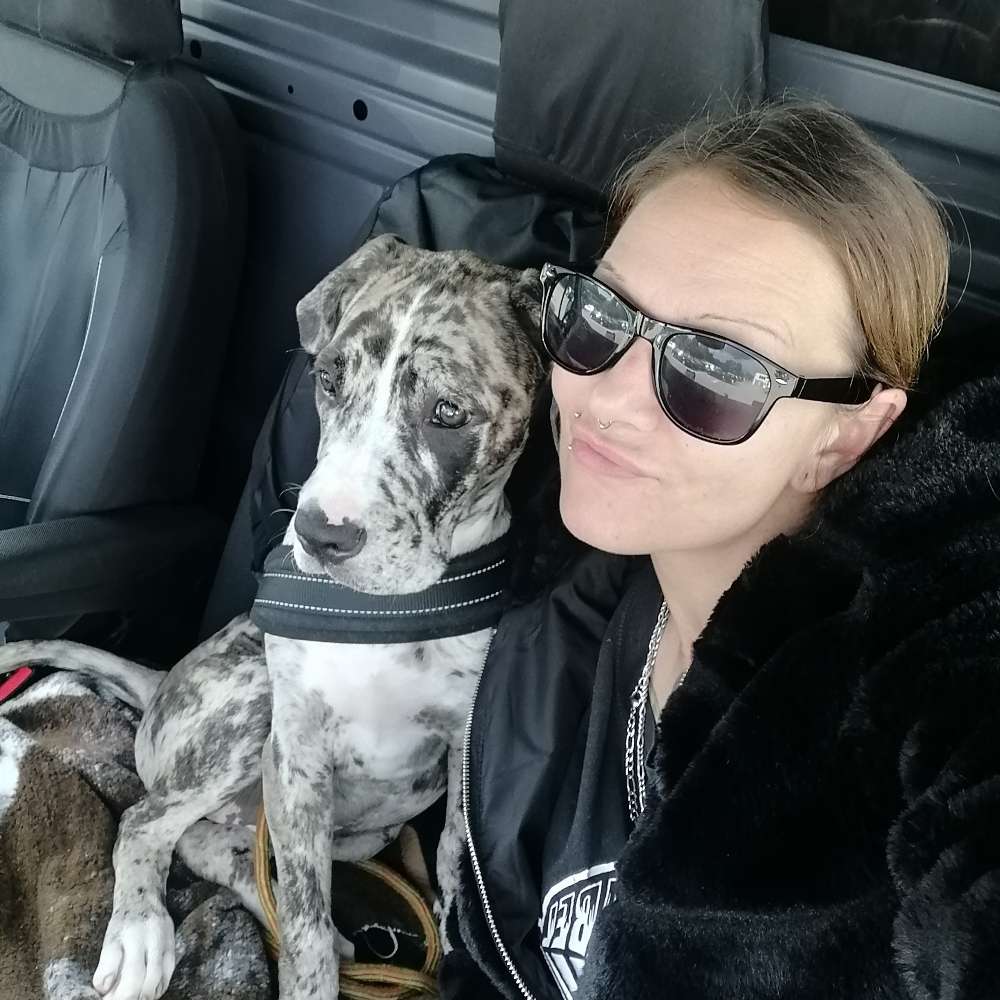 Hundetreffen-Welpentreffen in Bürgerfelde-Profilbild