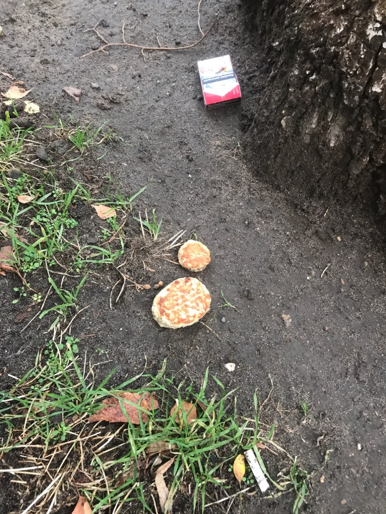 Giftköder-Buletten auf dem Gehweg (Schöneberg)-Profilbild