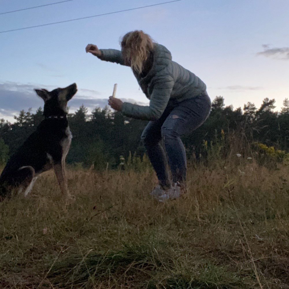 Hundetreffen-Spieletreffen-Profilbild
