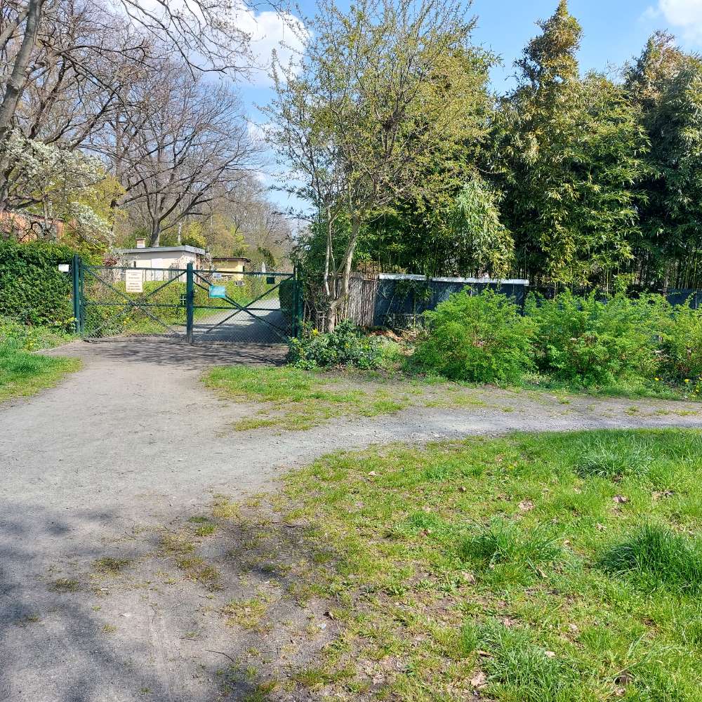 Giftköder-Rattengift-Profilbild