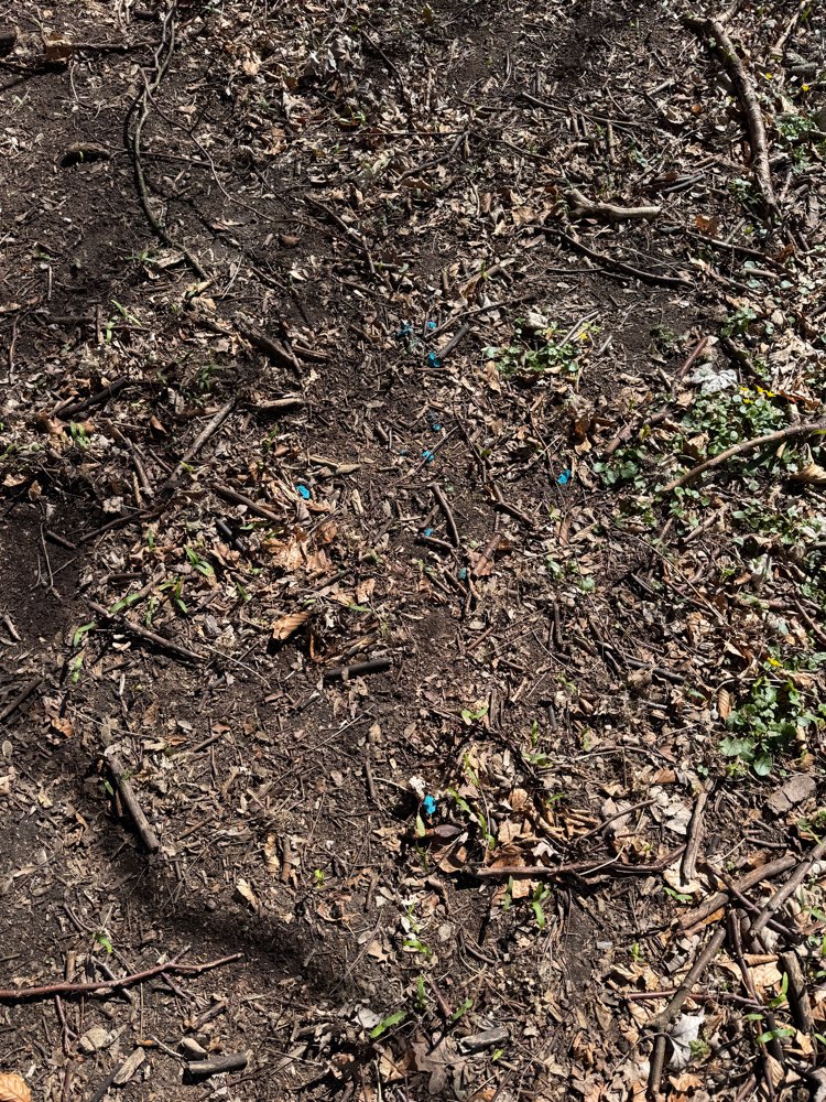 Giftköder-Evtl Giftköder-Profilbild