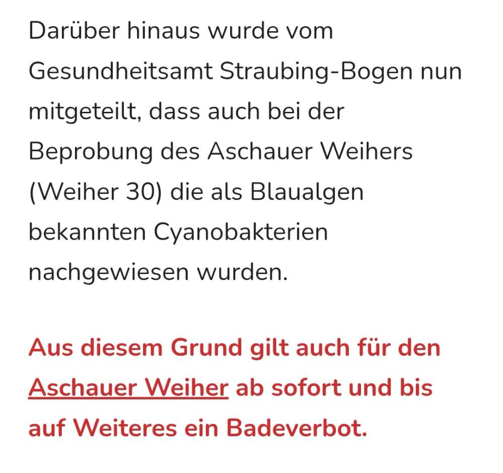 Giftköder-Blaualgen Aschauer Weiher (Weiher 30)-Profilbild