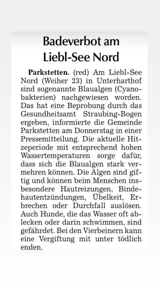 Giftköder-Blaualgen im Liebl See Nord (Weiher 23)-Profilbild