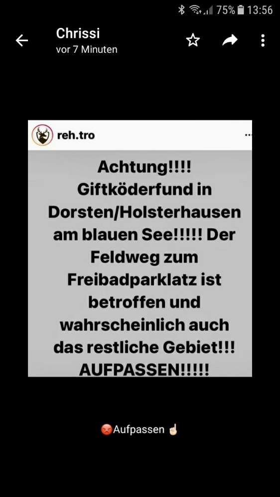 Giftköder-Giftköder-Profilbild