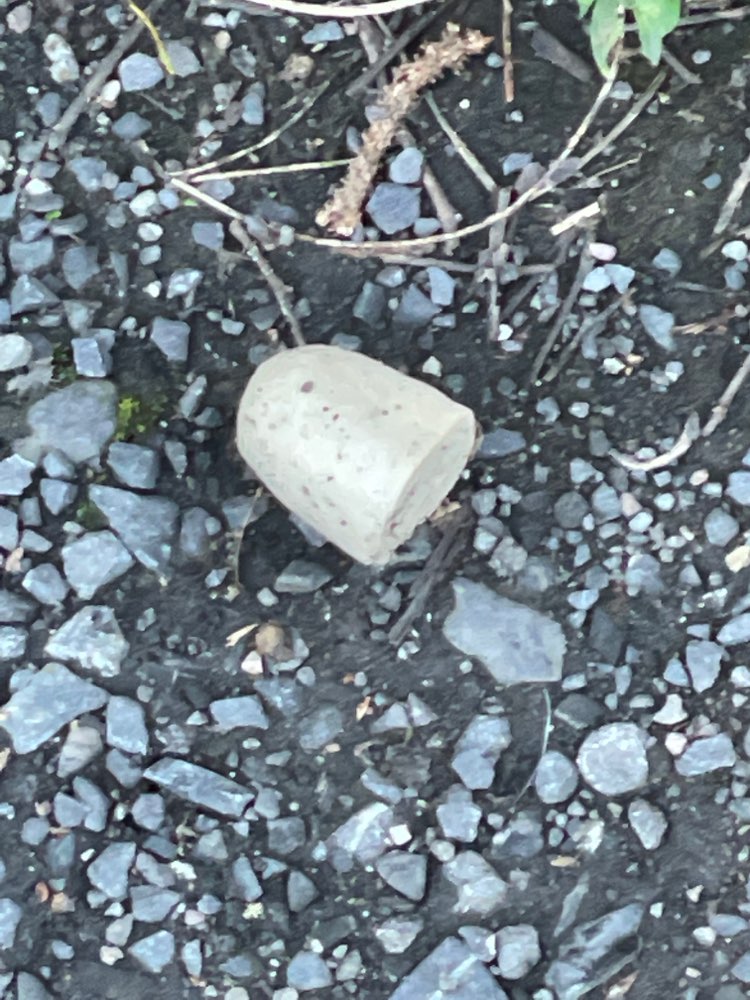 Giftköder-Verdächtige Wurstwaren-Profilbild