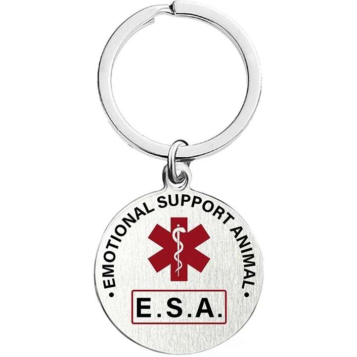 Hundetreffen-Suche Menschen mit Interesse an Hunden-Profilbild