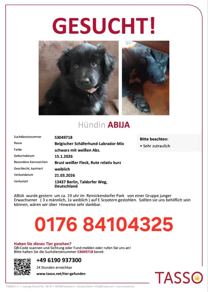 Suchmeldung-Abija-Profilbild