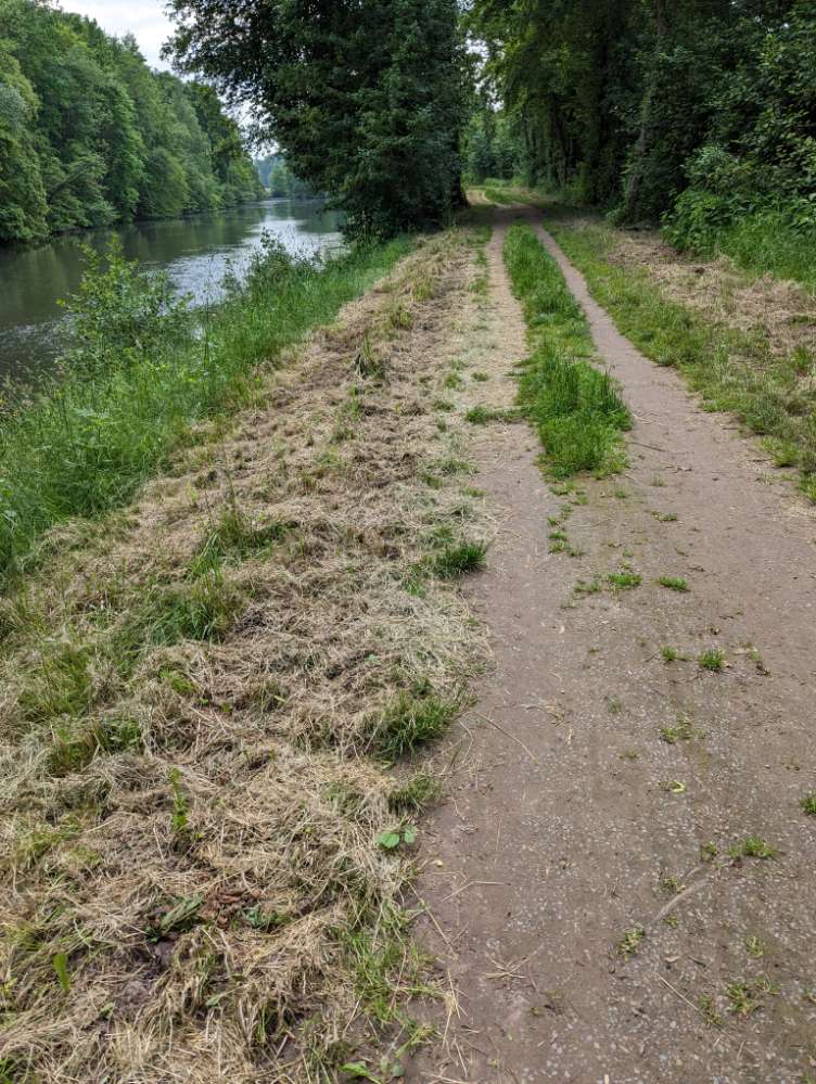 Giftköder-Trockenfutter-Profilbild