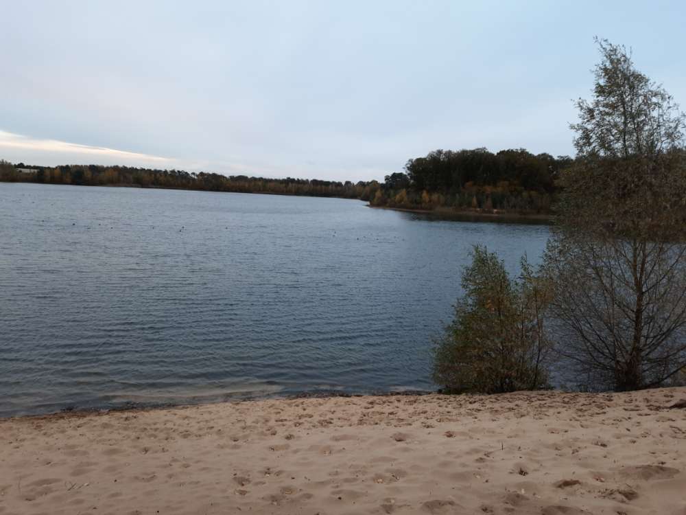 Hundetreffen-Gemeinsam um den Drilandsee-Profilbild