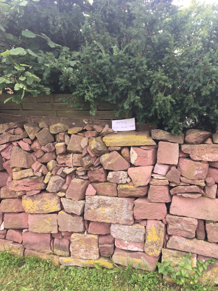 Giftköder-Warnschild -> evtl. Giftköder ausgelegt-Profilbild