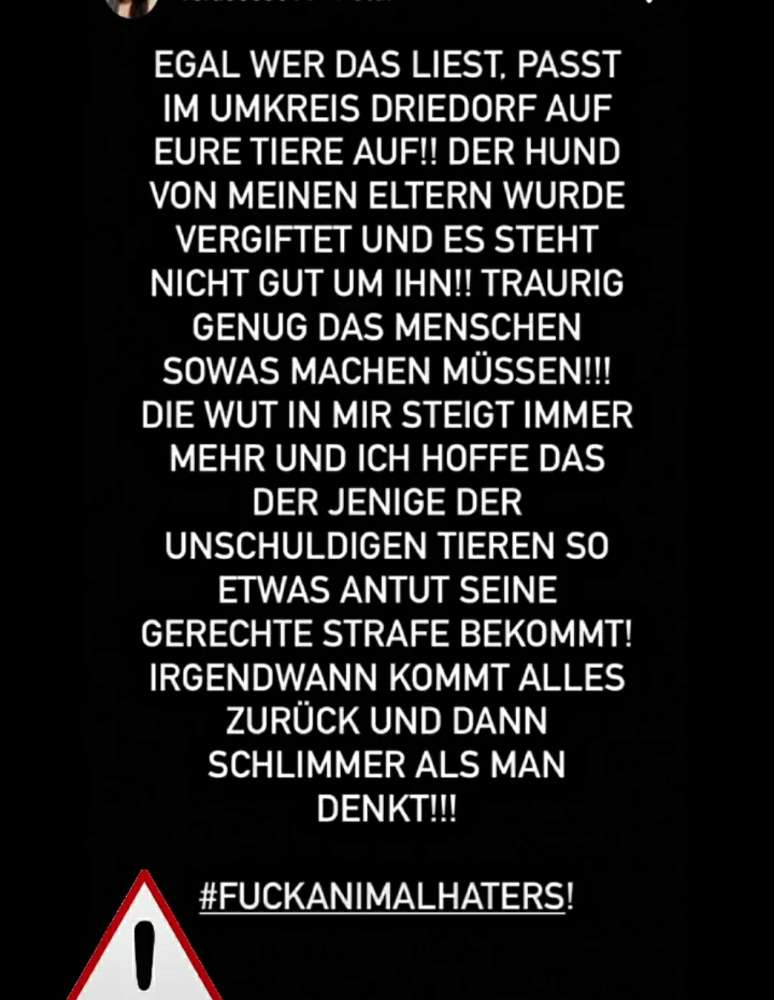 Giftköder-Hund vergiftet-Profilbild