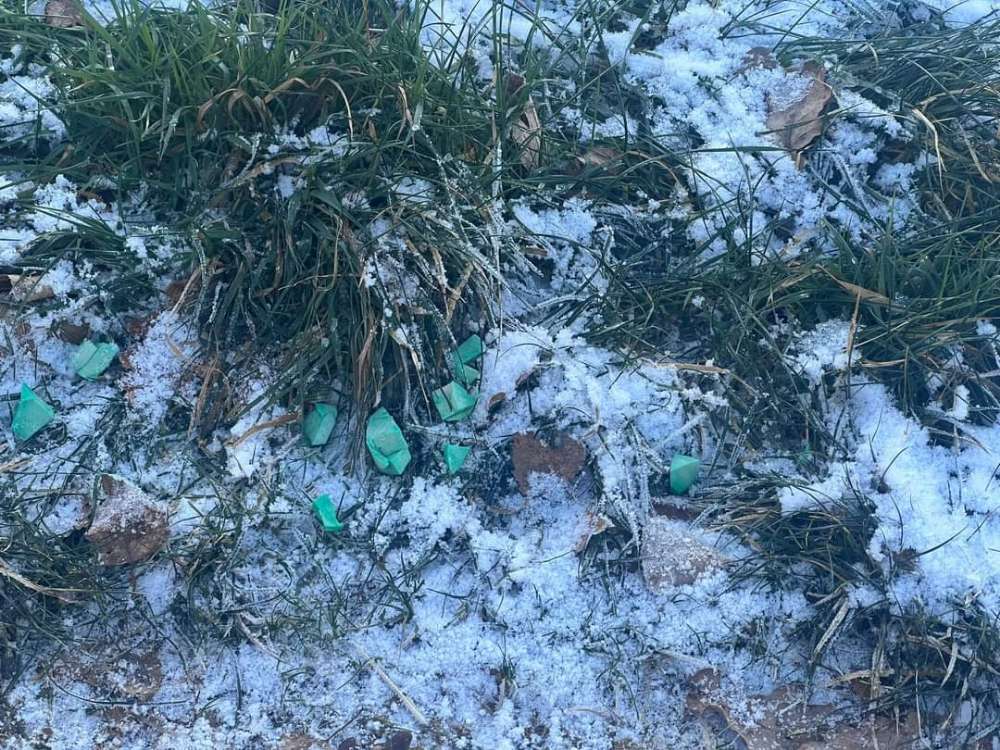 Giftköder-Grünliche wurststücke gefunden-Profilbild