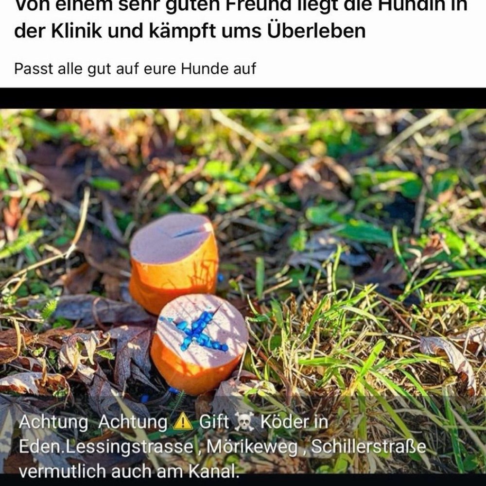 Giftköder-Giftköder-Profilbild