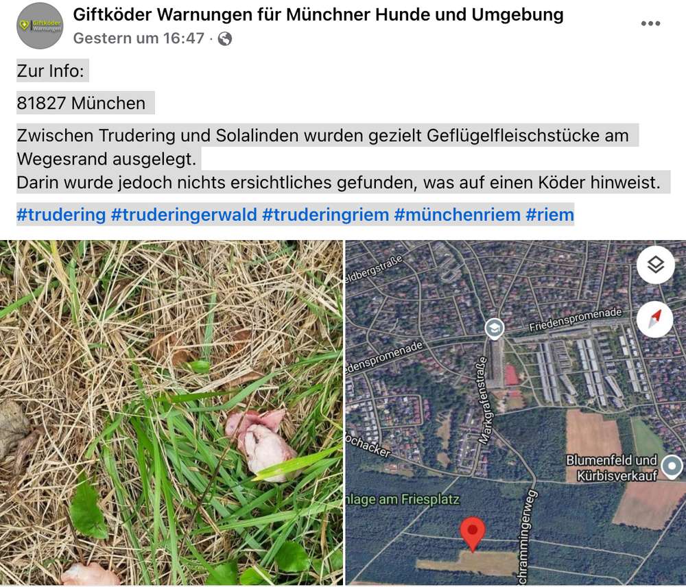 Giftköder-Giftköder-Profilbild