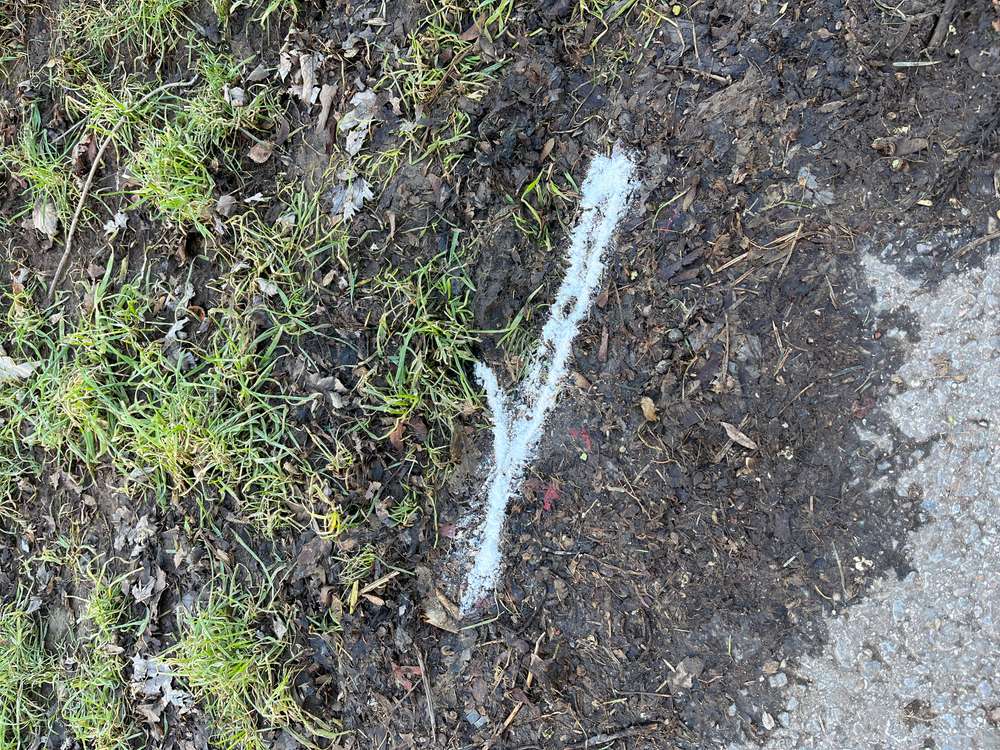 Giftköder-Weißes Pulver überall-Profilbild