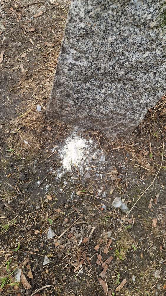 Giftköder-Weißes Pulver -Profilbild