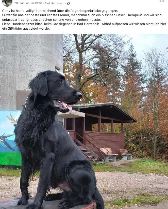 Giftköder-Möglicher Giftköder - verstorbener Hund-Profilbild