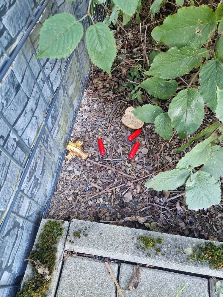 Giftköder-Mgl Giftköder-Profilbild