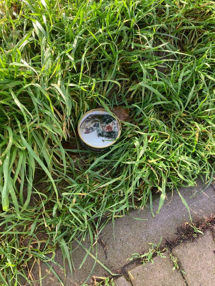 Giftköder-Möglicher Giftköder-Profilbild