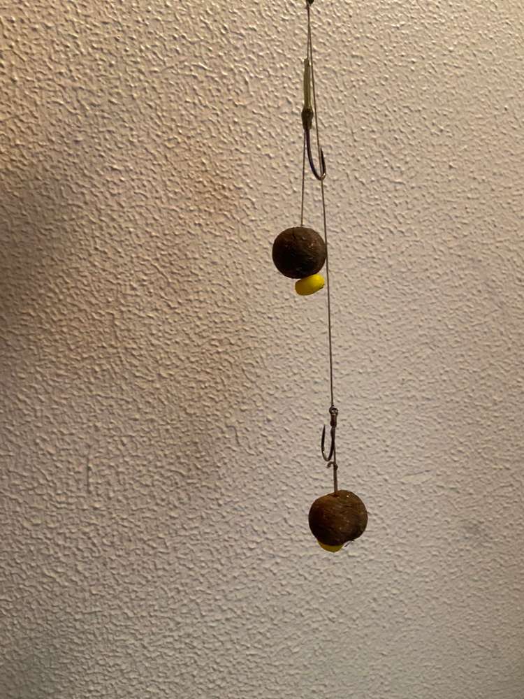 Giftköder-Giftköder-Profilbild