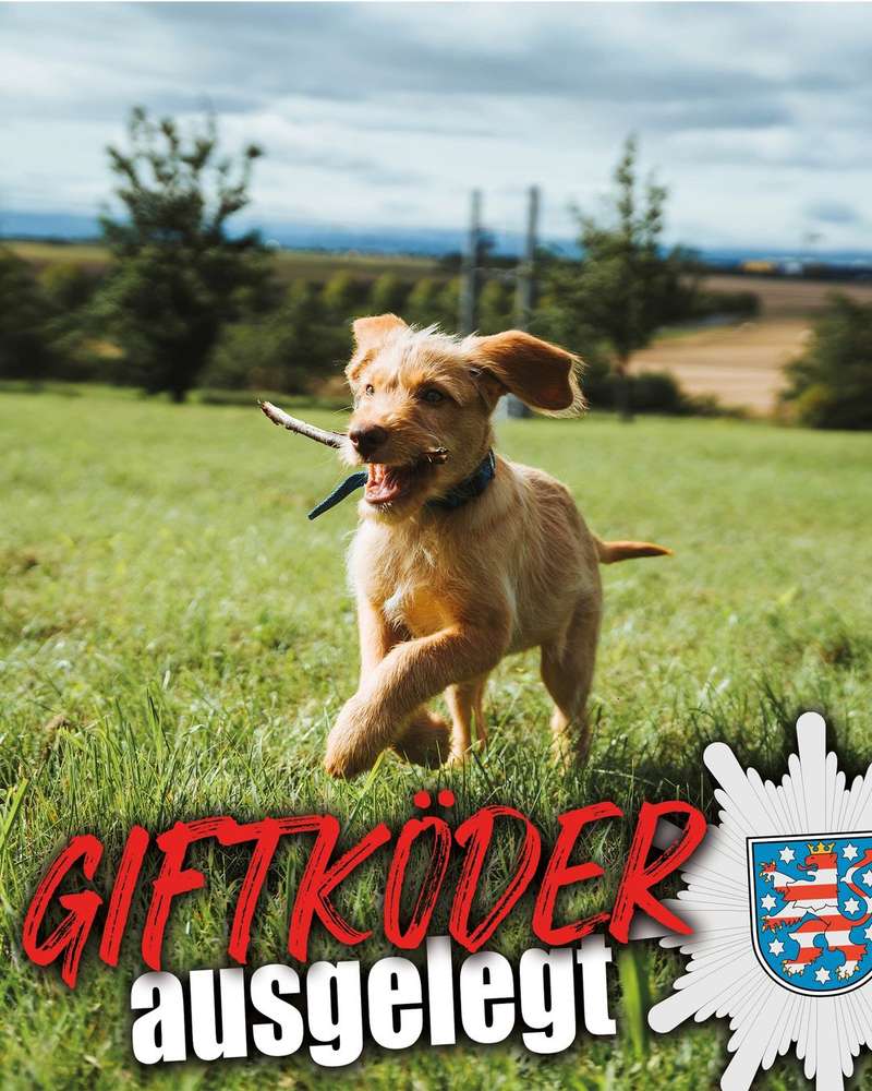 Giftköder-Polizei - Giftköder-Profilbild