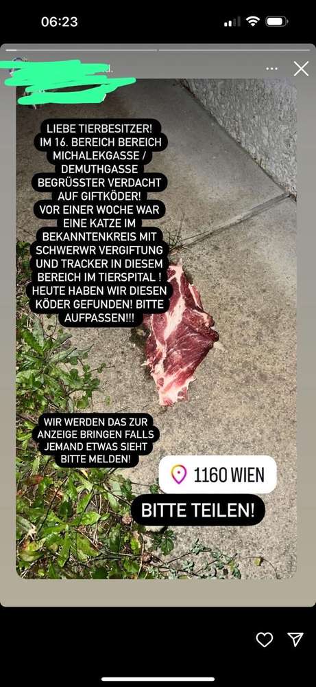 Giftköder-Fleischbrocken-Profilbild