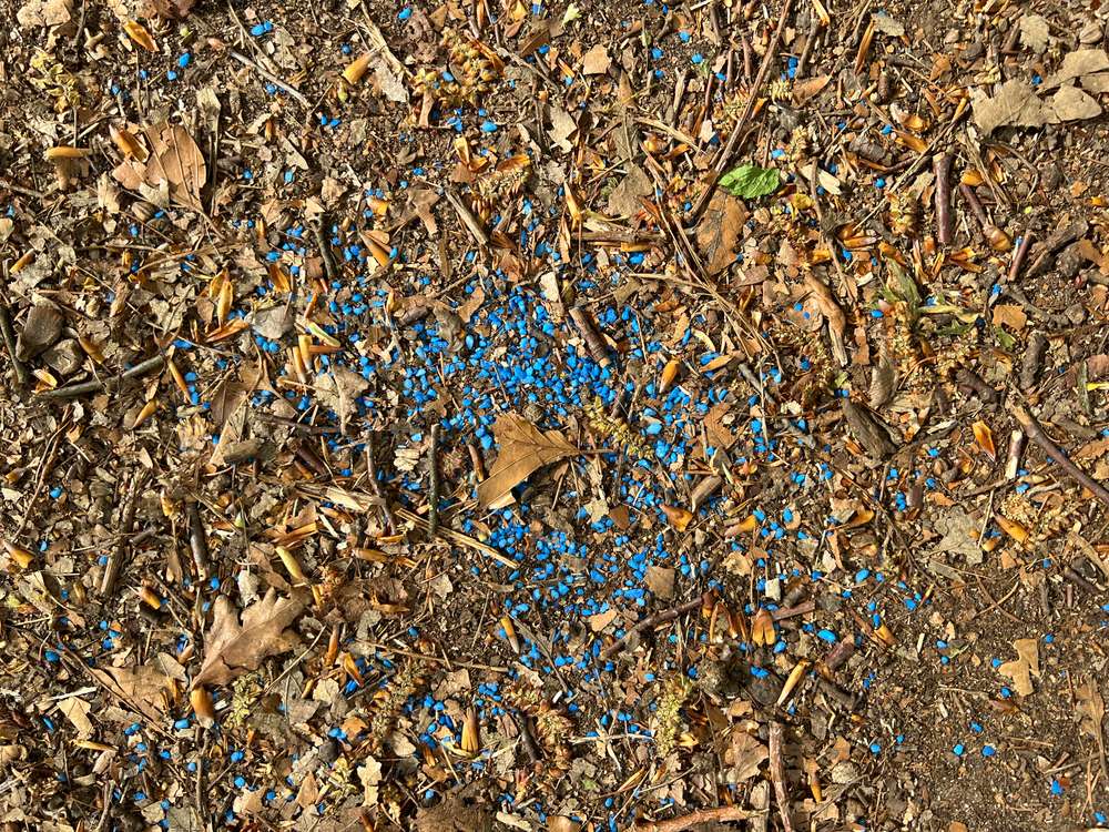 Giftköder-Gift / Schneckenkorn -Profilbild