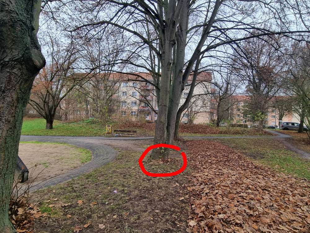 Giftköder-Evtl Gift-Profilbild