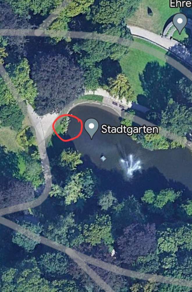 Giftköder-Potentielle Giftköder im Stadtgarten -Profilbild