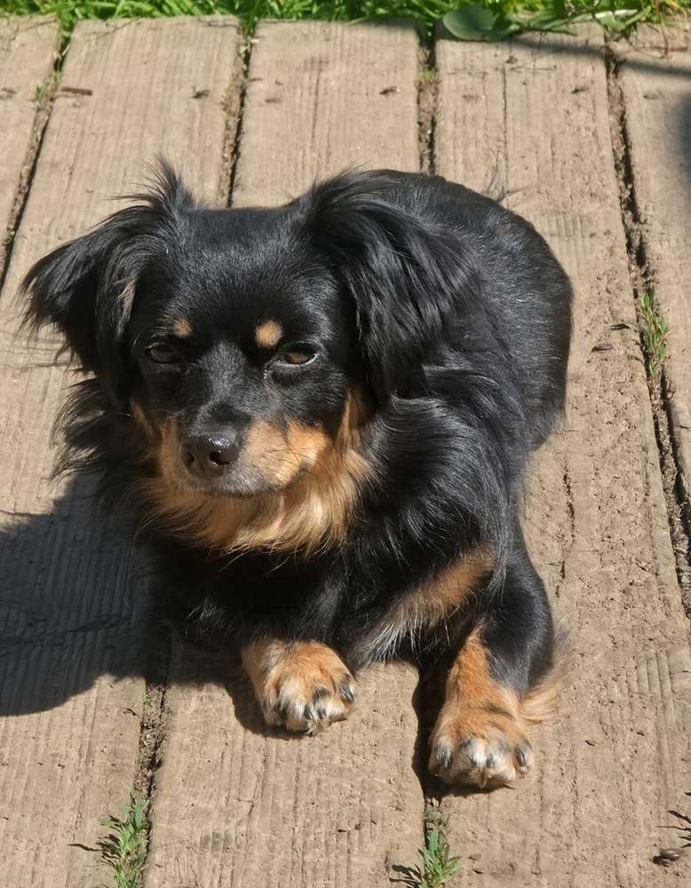 Suchmeldung-Lilly-Profilbild