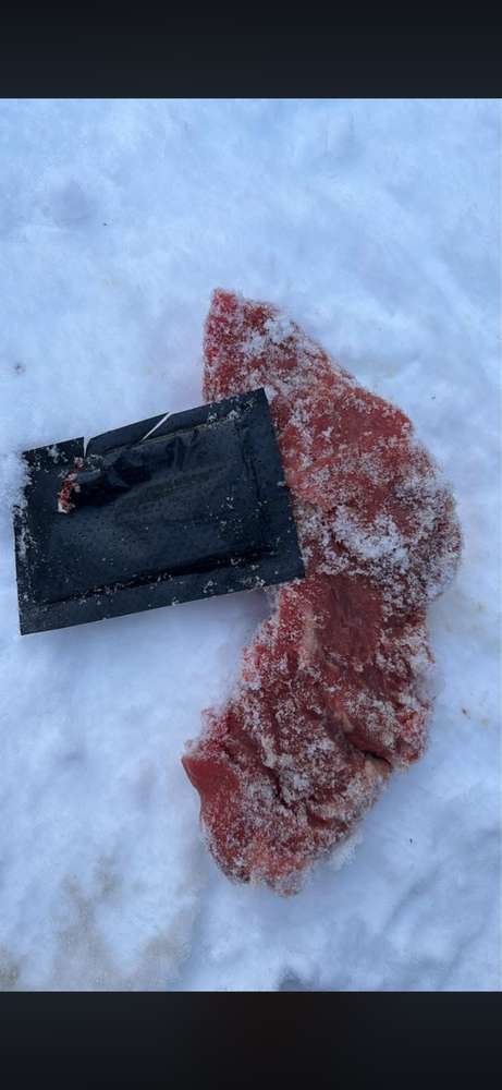 Giftköder-Giftköder-Profilbild