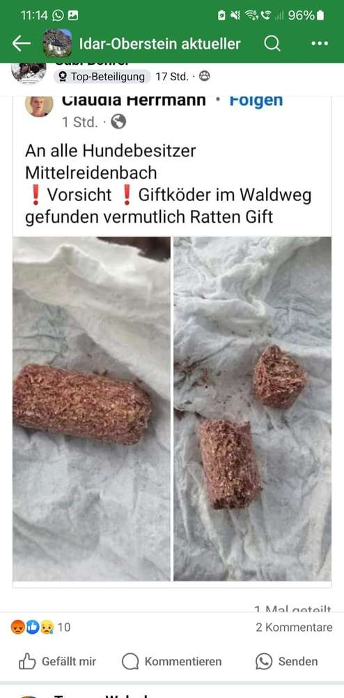 Giftköder-Giftköder-Profilbild