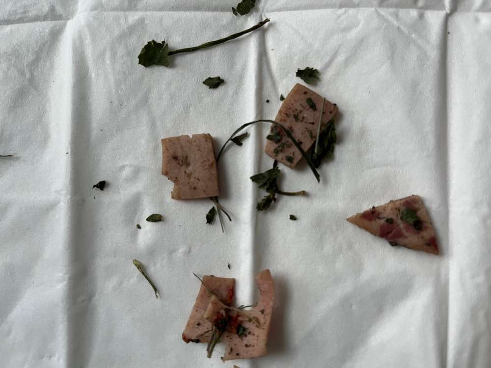 Giftköder-Wurststücke ggf. mit Gift-Profilbild