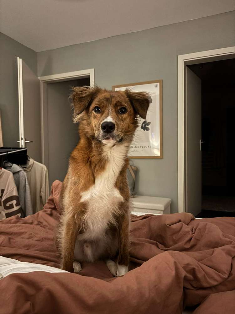 Suchmeldung-Sammy-Profilbild