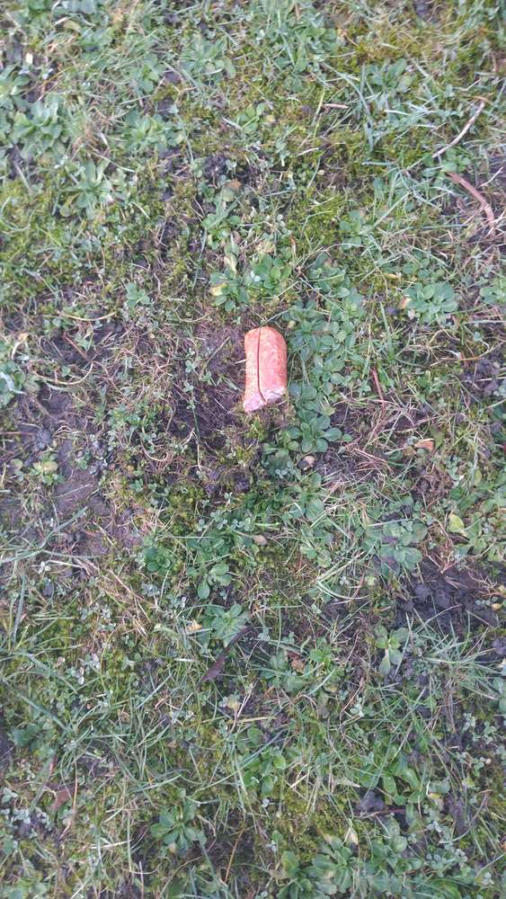 Giftköder-Giftköder-Profilbild