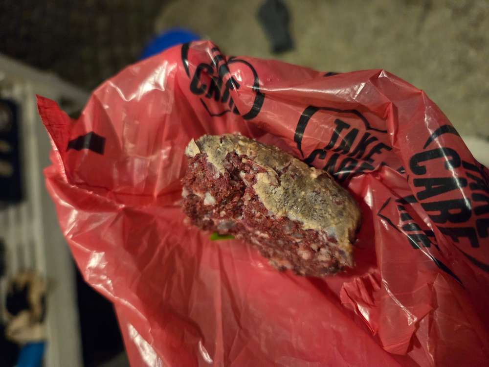 Giftköder-Giftköder-Profilbild