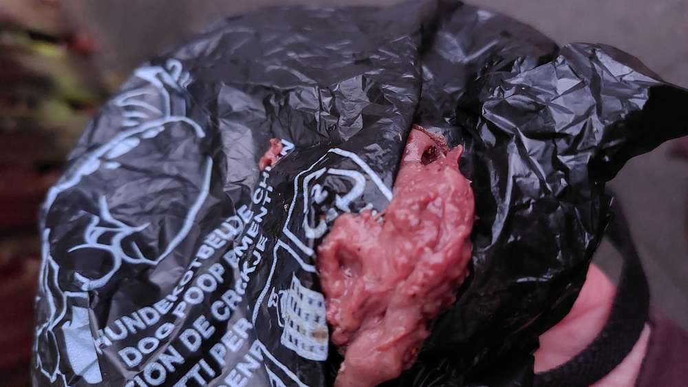 Giftköder-Möglicher Giftköder-Profilbild