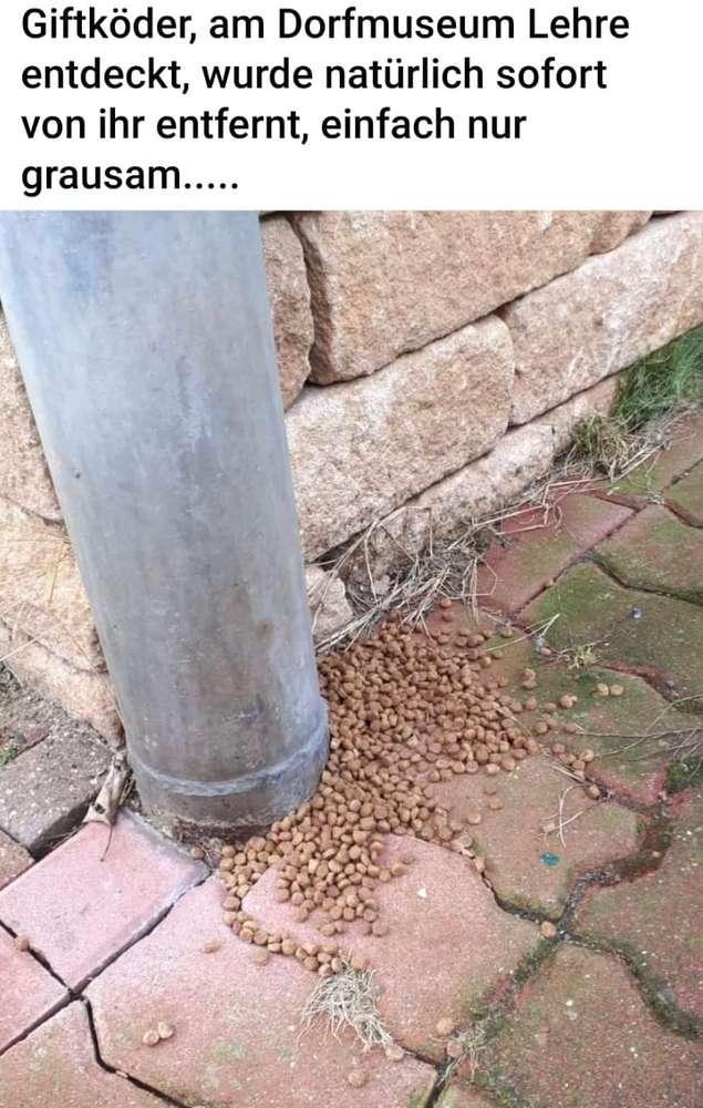 Giftköder-Giftköder am Dorfmuseum-Profilbild
