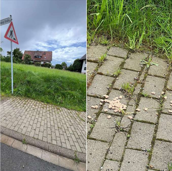 Giftköder-Giftköder-Profilbild