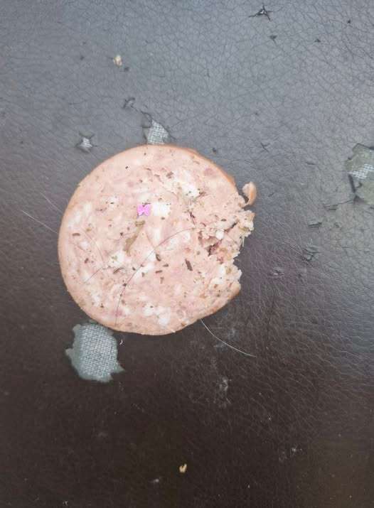 Giftköder-Giftköder-Profilbild