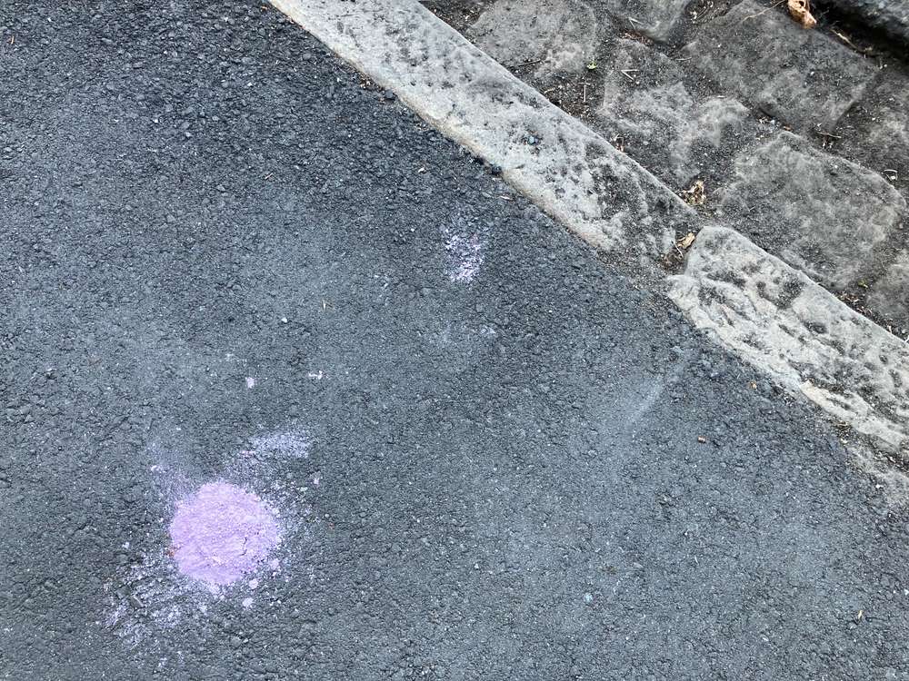 Giftköder-Pulver lila -Profilbild