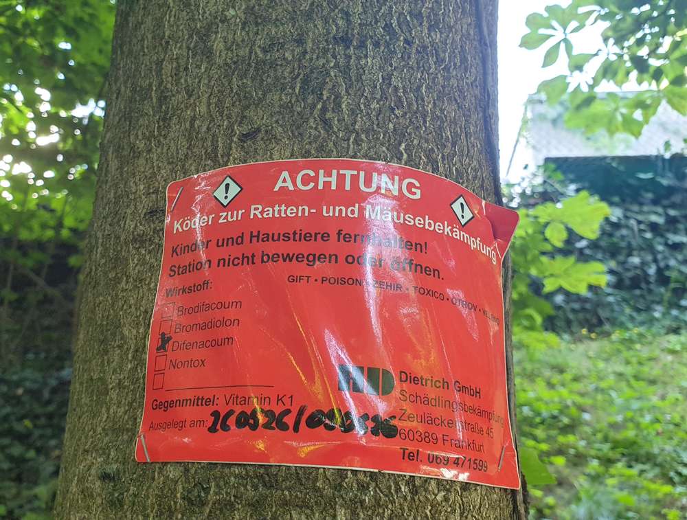 Giftköder-Rattengift-Profilbild