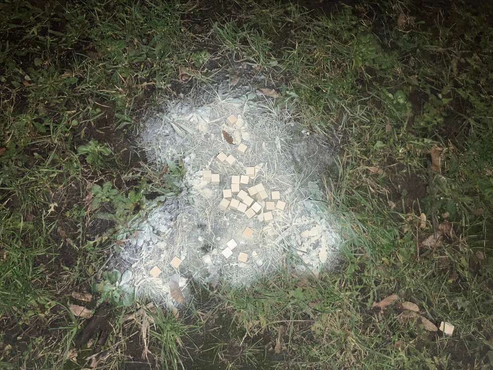 Giftköder-Weißes Pulver und Stücke -Profilbild