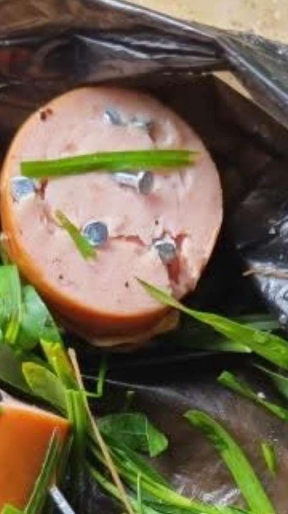 Giftköder-Köder mit Nägeln-Profilbild