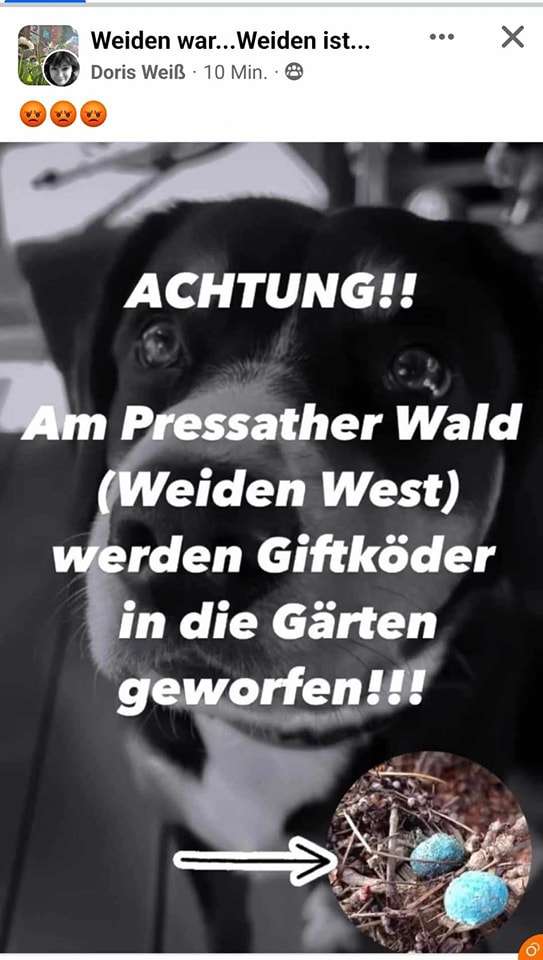 Giftköder-Mgl Giftköder-Profilbild