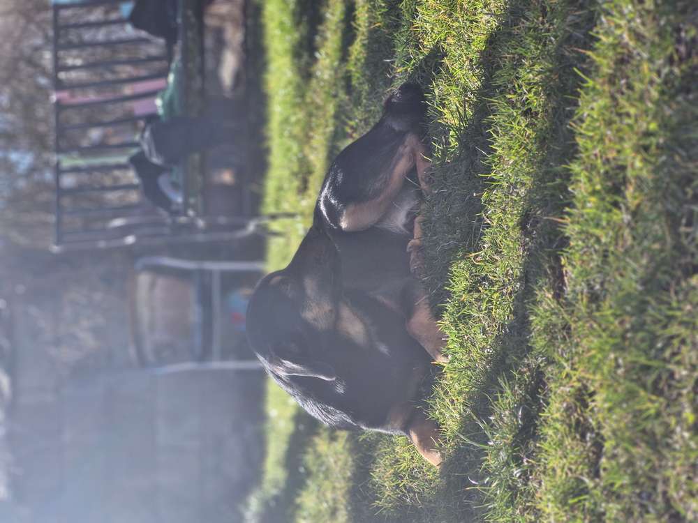 Suchmeldung-Aiko-Profilbild