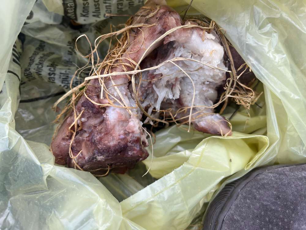 Giftköder-Giftköder -Profilbild