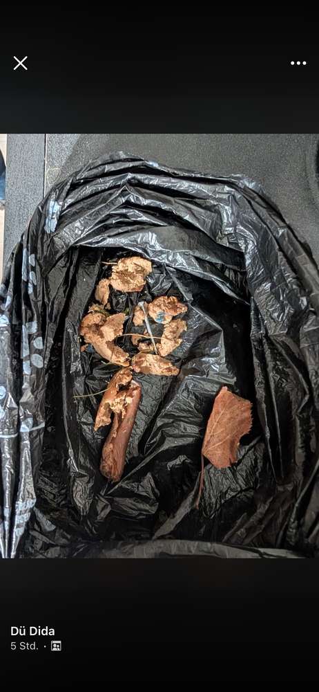 Giftköder-Giftköder mit Nägel und Blaukorn-Profilbild