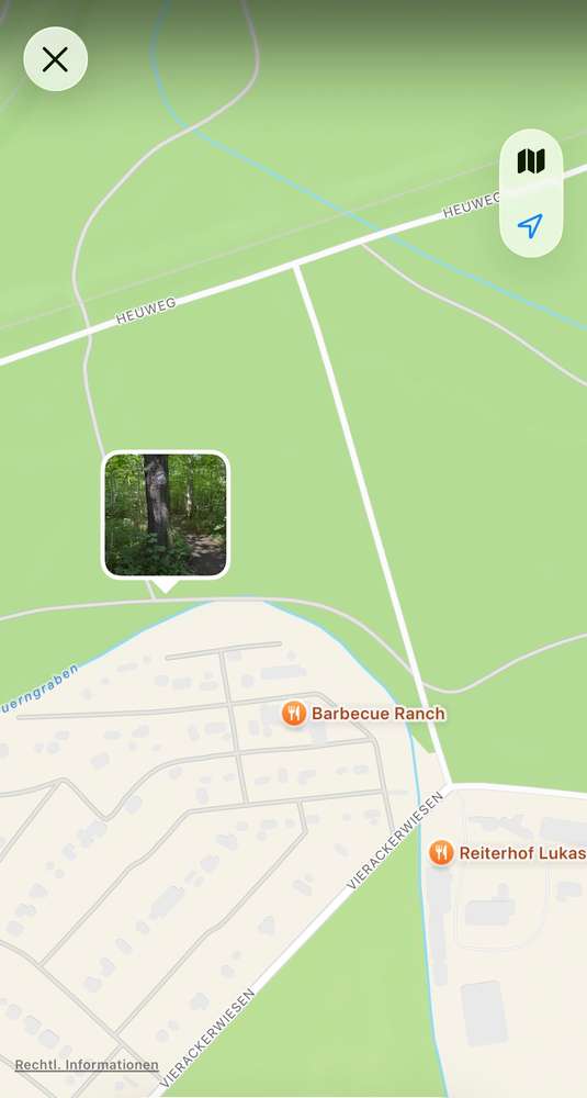 Giftköder-Eichenprozessionsspinner-Profilbild