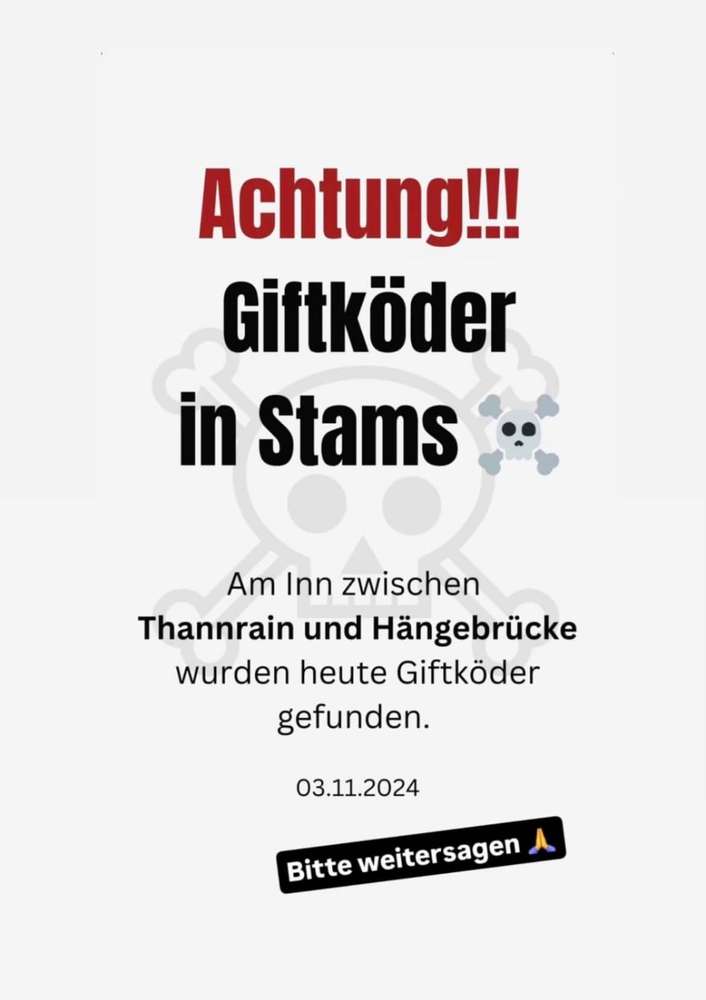 Giftköder-Giftköder-Profilbild